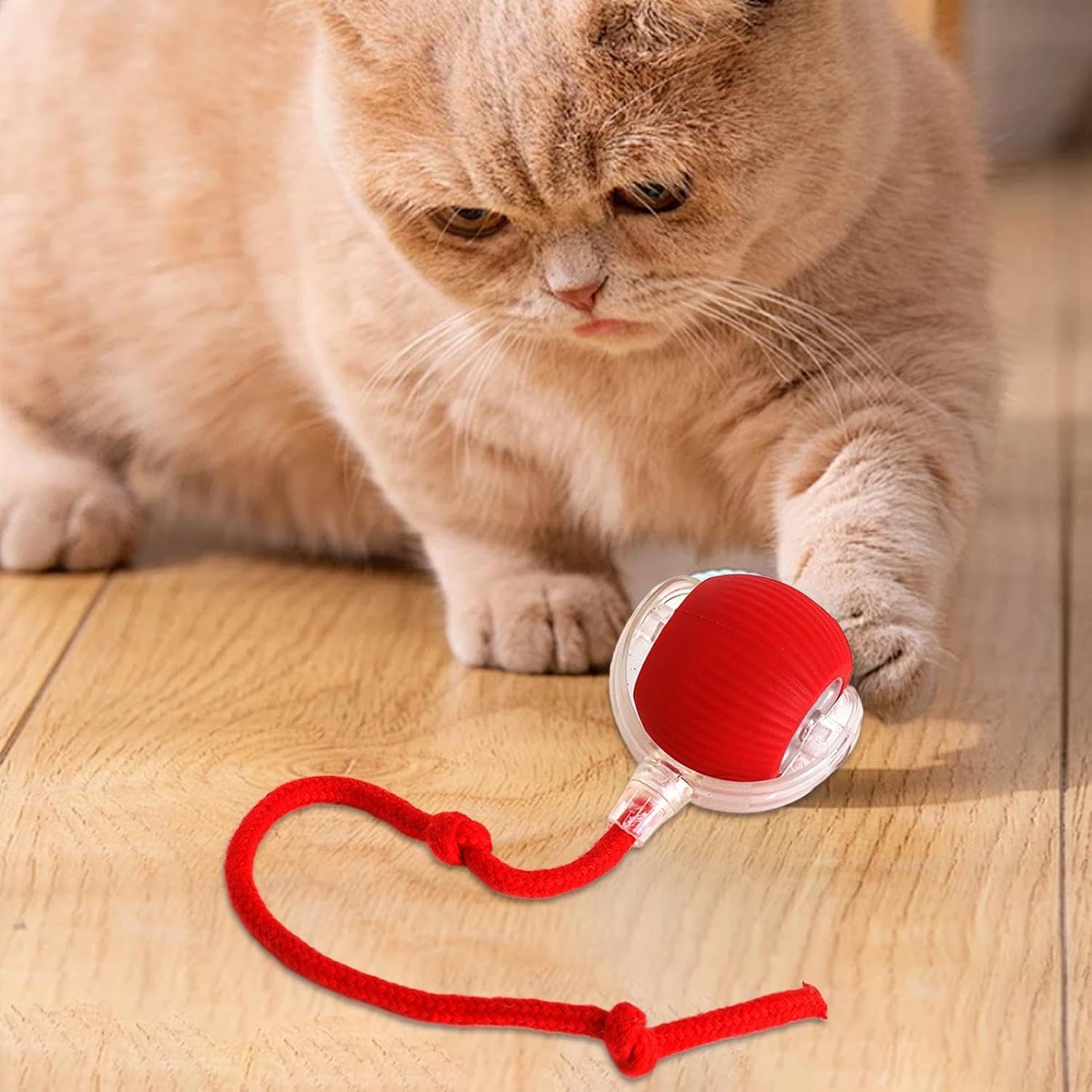 ZUCUR Interactive Cat Rope Ball Toy – Fun Rolling Training Ball for Active Cats & Kittens